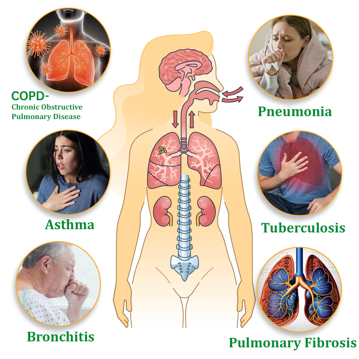 💞✅Officially certified import:Ourlyard™ Herbal Lung Cleansing Inhaler👨⚕️ (💝Quick results: Cough, wheezing, shortness of breath, sputum, stuffy nose, bronchitis, bronchitis, allergy symptoms, lung discomfort💝)