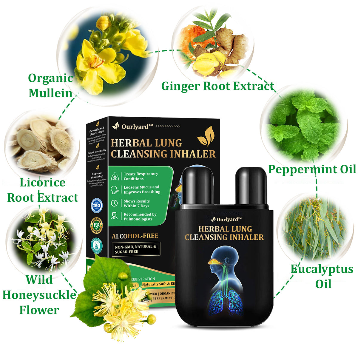 💞✅Officially certified import:Ourlyard™ Herbal Lung Cleansing Inhaler👨⚕️ (💝Quick results: Cough, wheezing, shortness of breath, sputum, stuffy nose, bronchitis, bronchitis, allergy symptoms, lung discomfort💝)